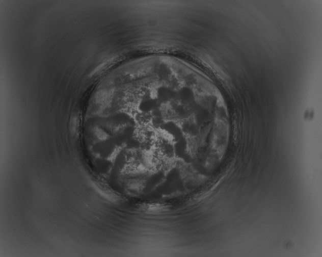 X0000095530165200801041254