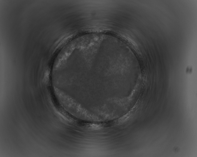 X0000095530166200801041254