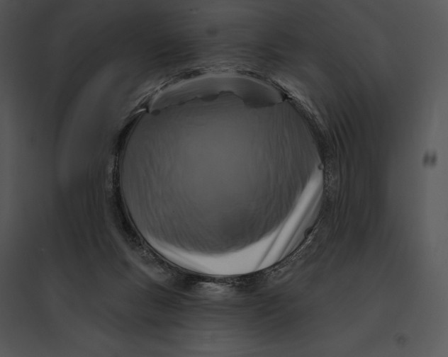 X0000095530167200801041254