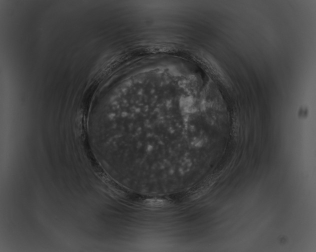 X0000095530169200801041254