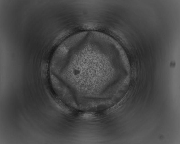 X0000095530171200801041254