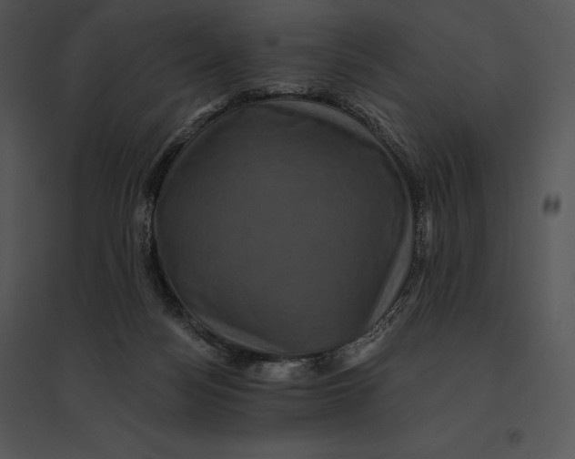 X0000095530172200801041254