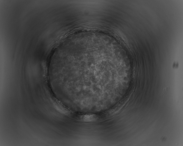 X0000095530173200801041254