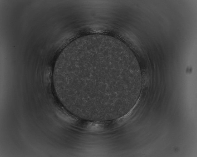 X0000095530174200801041254