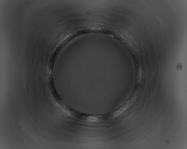 X0000095530176200801041254