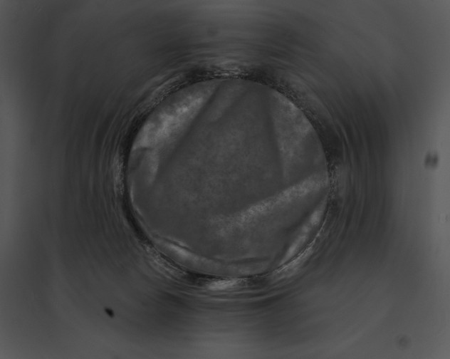 X0000095530178200801041254