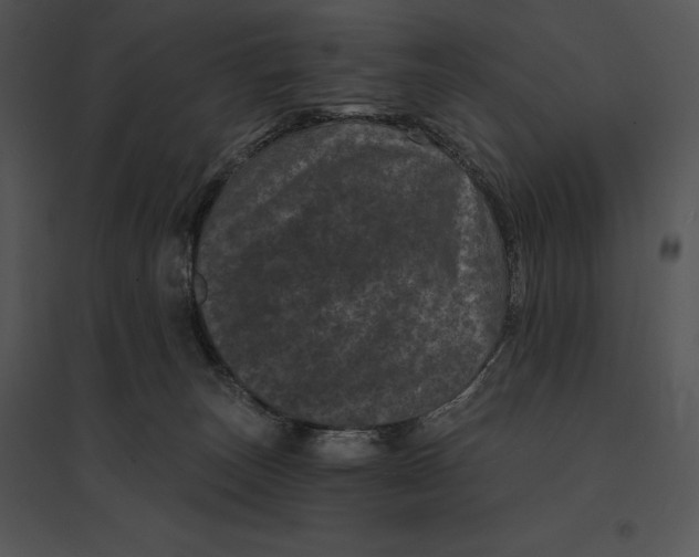 X0000095530179200801041254