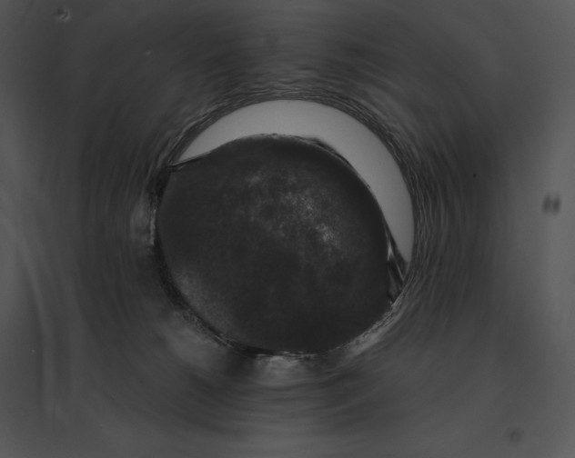 X0000095530180200801041255