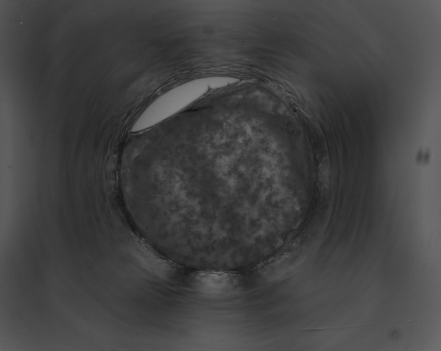 X0000095530181200801041255