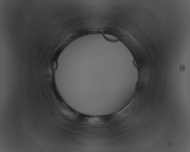 X0000095530183200801041255