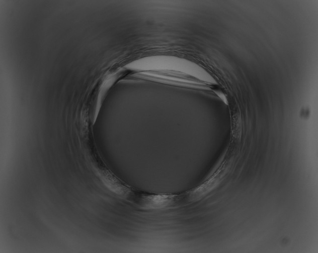 X0000095530184200801041255