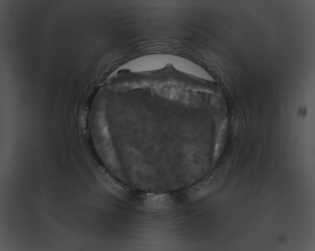 X0000095530185200801041255