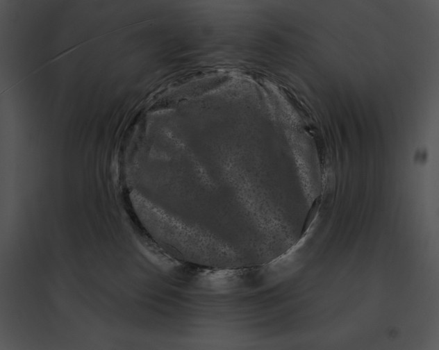 X0000095530186200801041255