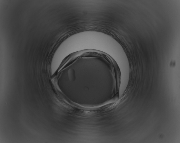 X0000095530188200801041255