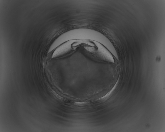 X0000095530190200801041255