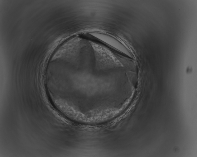 X0000095530193200801041254