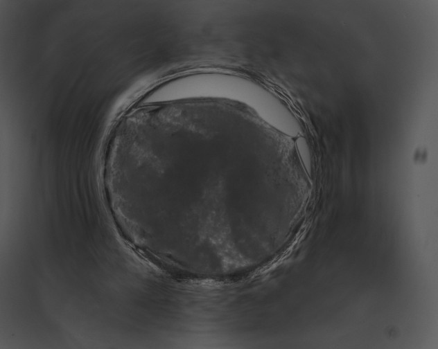 X0000095530197200801041254