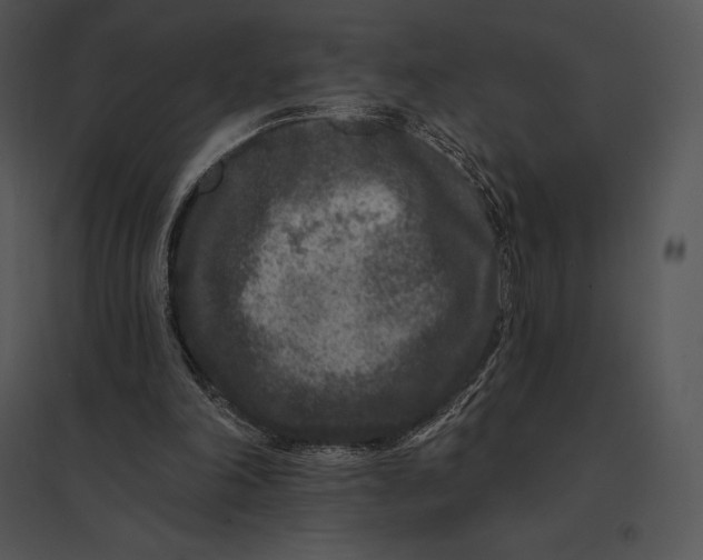 X0000095530198200801041254