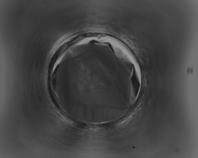 X0000095530199200801041254