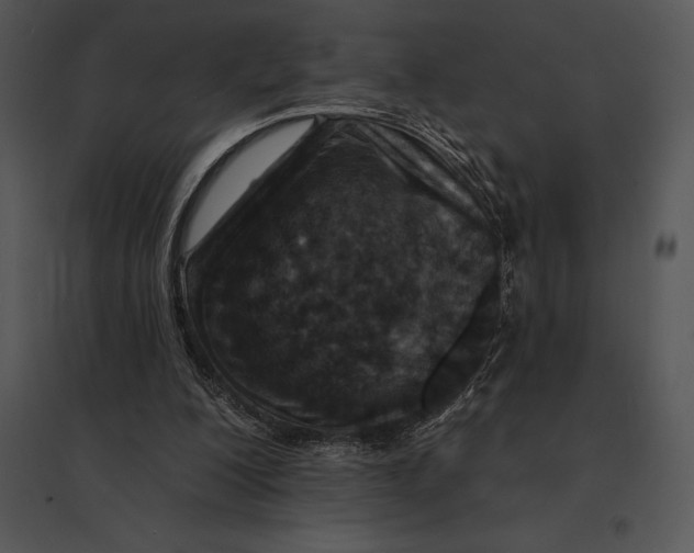 X0000095530200200801041254