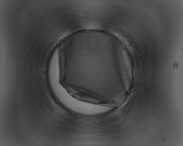 X0000095530201200801041254