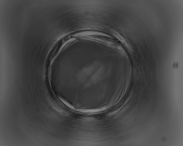 X0000095530203200801041254