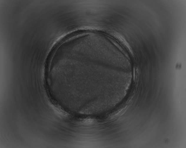 X0000095530204200801041254