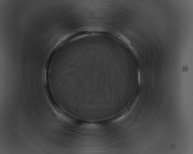 X0000095530205200801041254