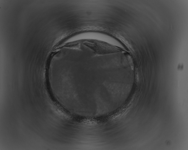 X0000095530207200801041254