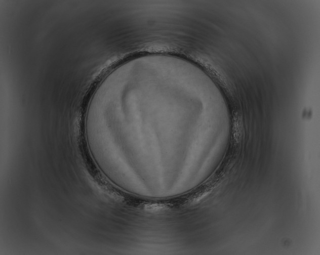 X0000095530208200801041254