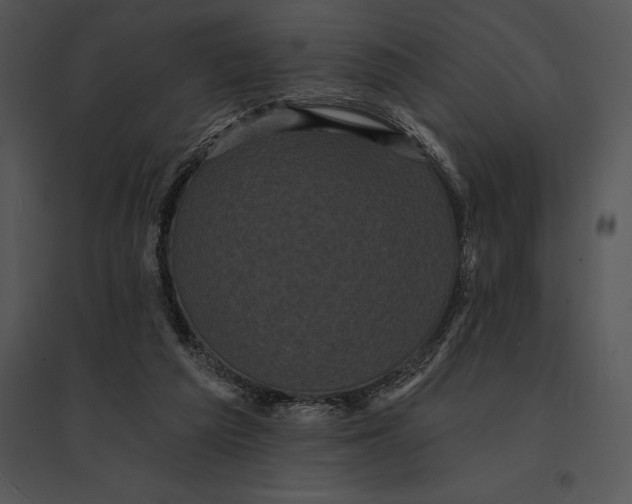 X0000095530209200801041254