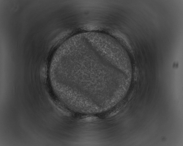 X0000095530210200801041254