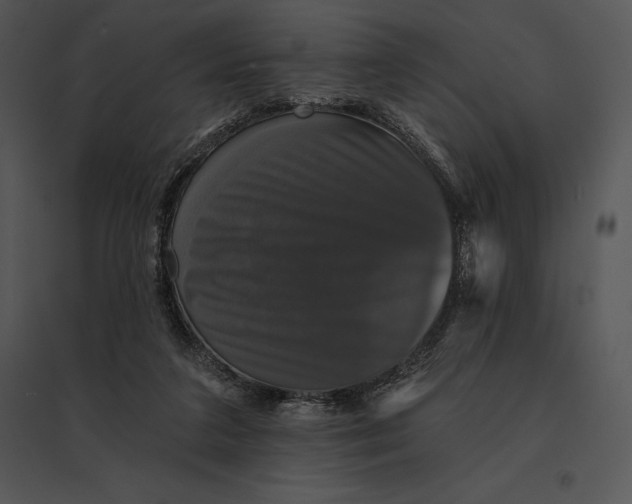 X0000095530211200801041254