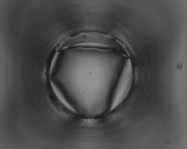 X0000095530212200801041254