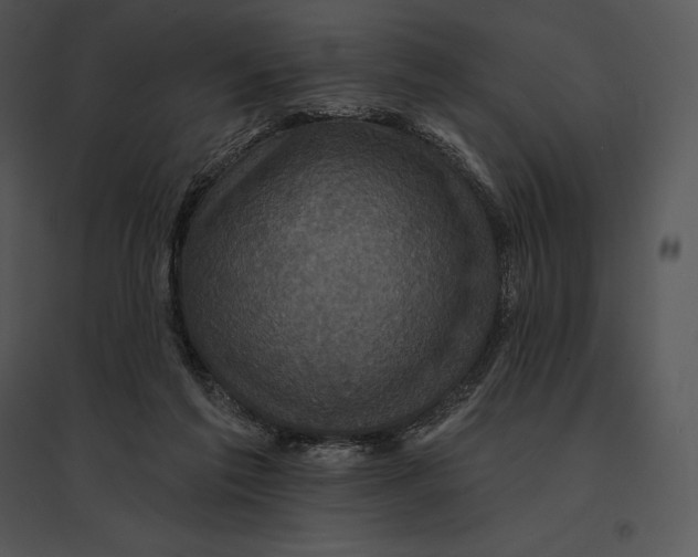 X0000095530213200801041254