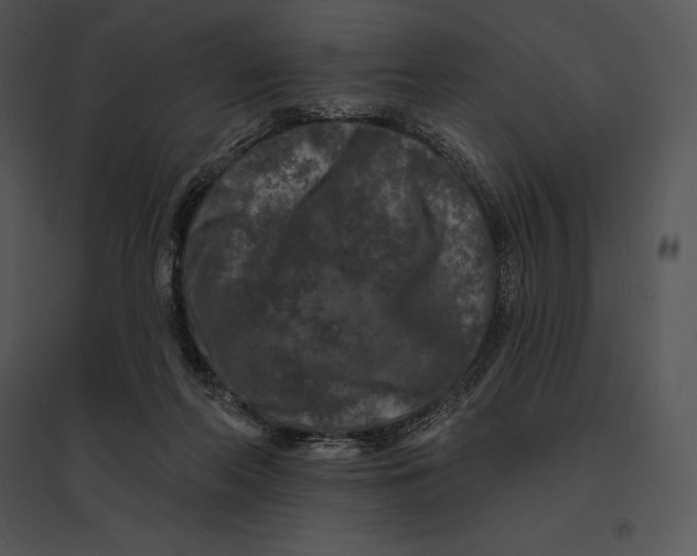 X0000095530214200801041254