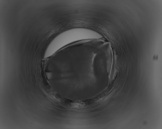 X0000095530215200801041254