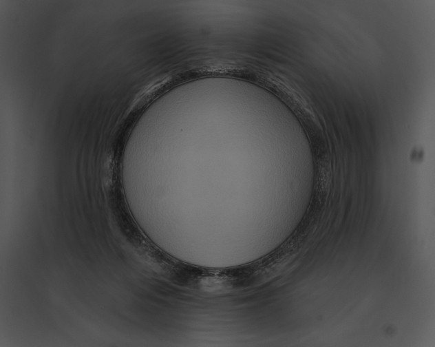 X0000095530216200801041254