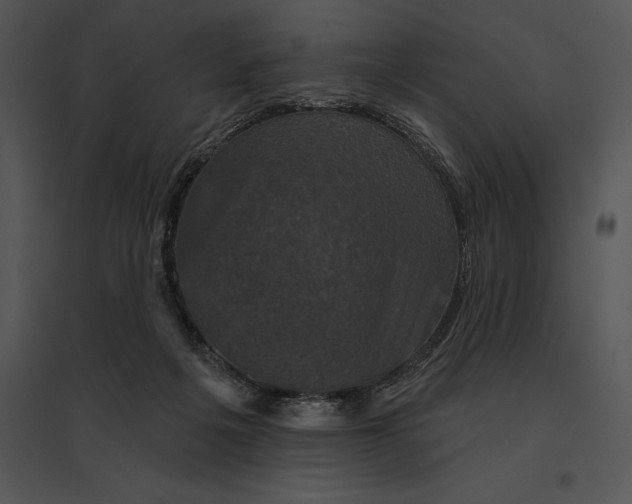 X0000095530217200801041254