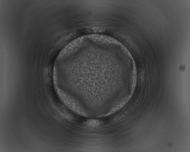 X0000095530218200801041253