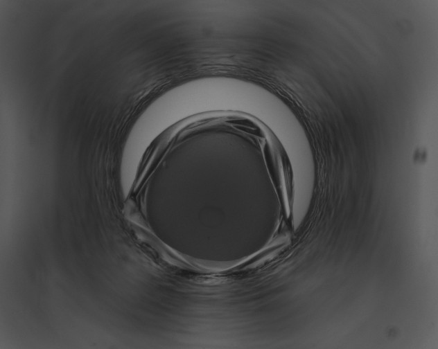 X0000095530219200801041253