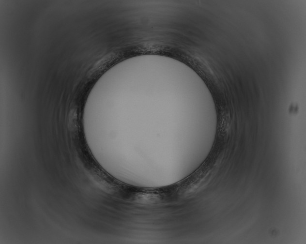 X0000095530220200801041253