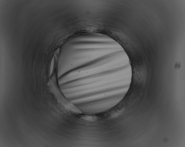 X0000095530221200801041253