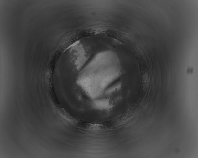 X0000095530222200801041253