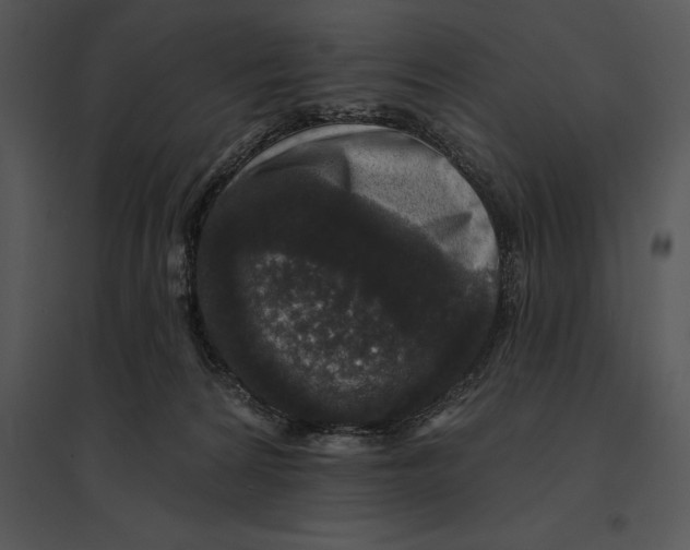 X0000095530224200801041253