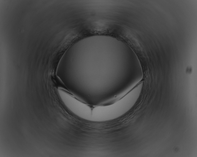 X0000095530225200801041253