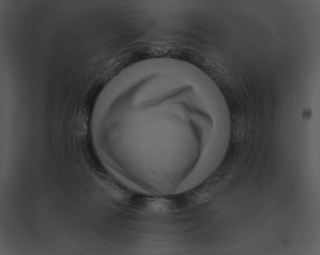 X0000095530226200801041253