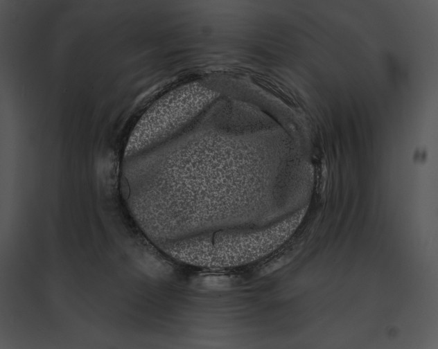 X0000095530228200801041253