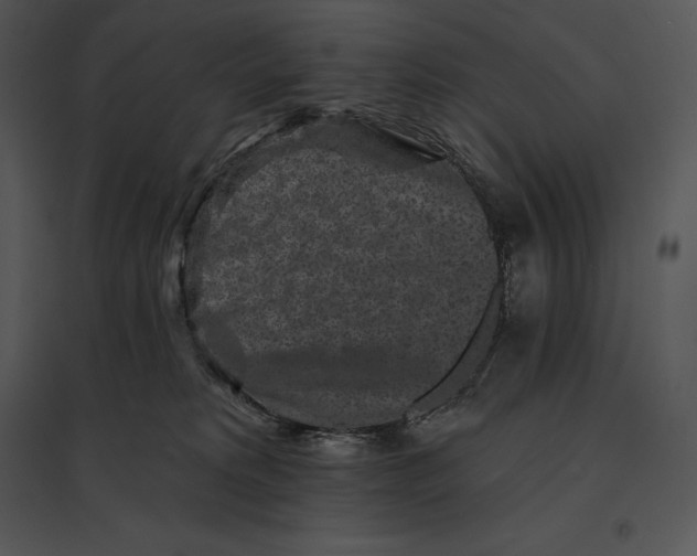 X0000095530229200801041253