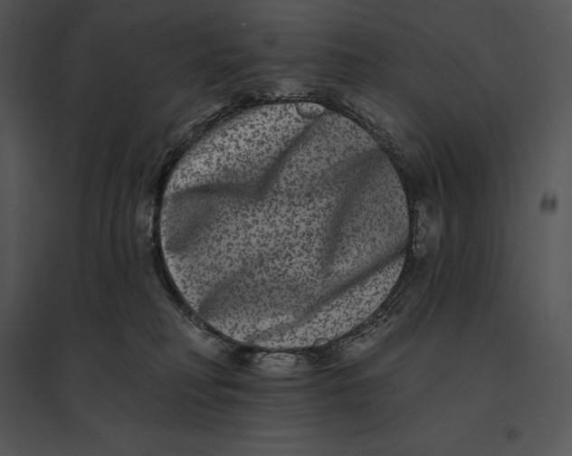 X0000095530230200801041253